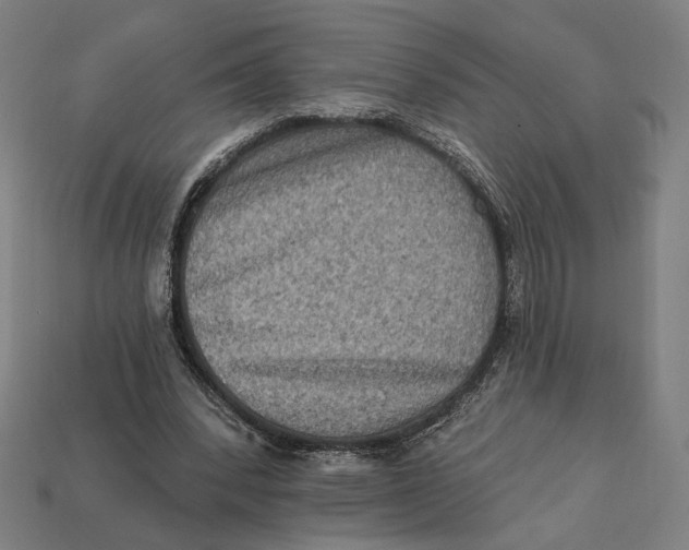 X0000112420392200909111014