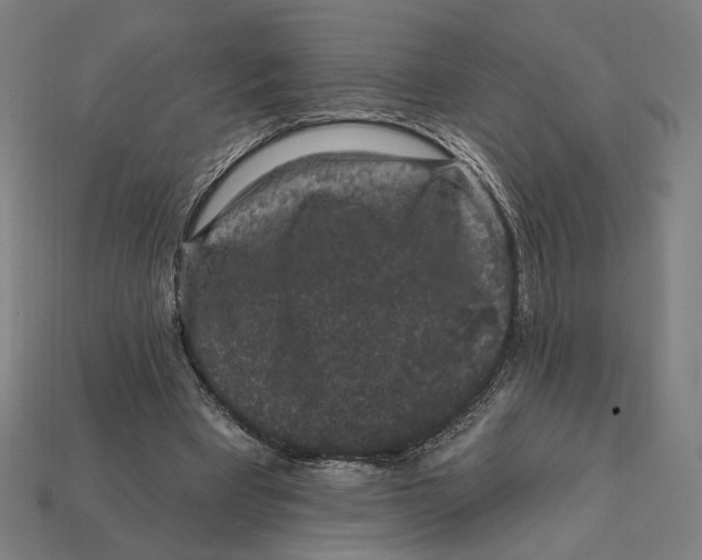 X0000112420393200909111014