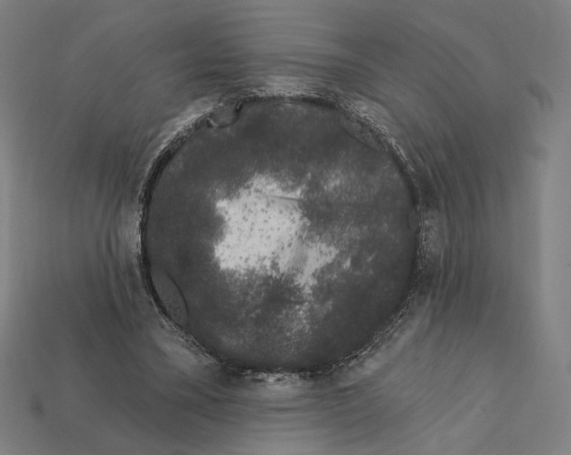 X0000112420395200909111014