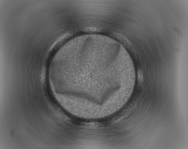 X0000112420396200909111014