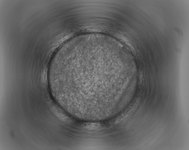 X0000112420398200909111014