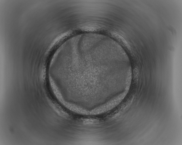 X0000112420400200909111014