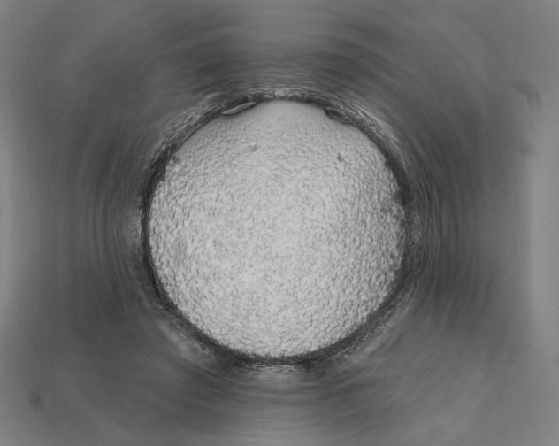 X0000112420401200909111014