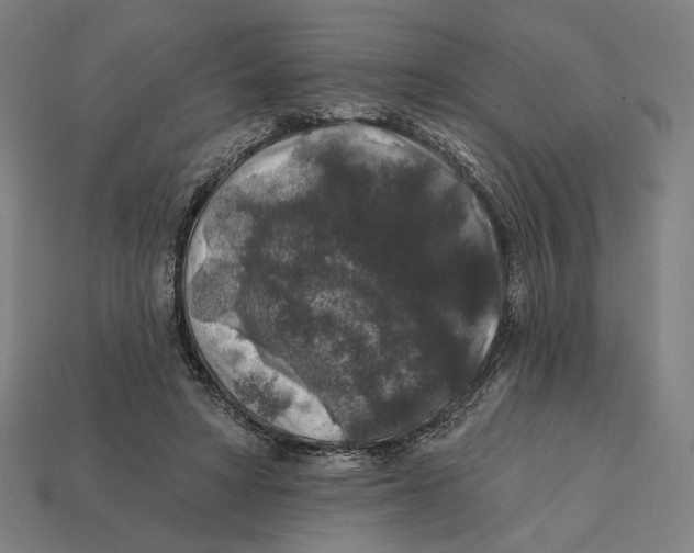 X0000112420402200909111014