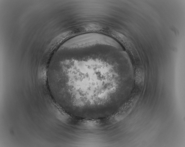 X0000112420405200909111014