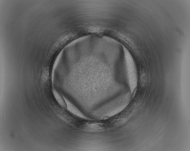 X0000112420407200909111014