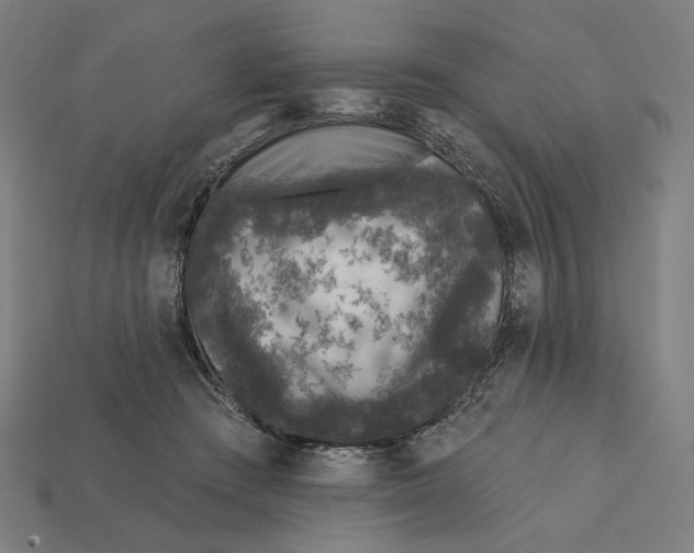 X0000112420409200909111014