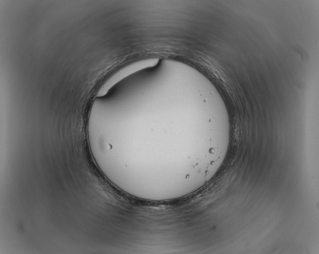 X0000112420411200909111014