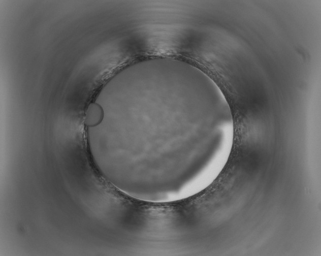 X0000112420415200909111014