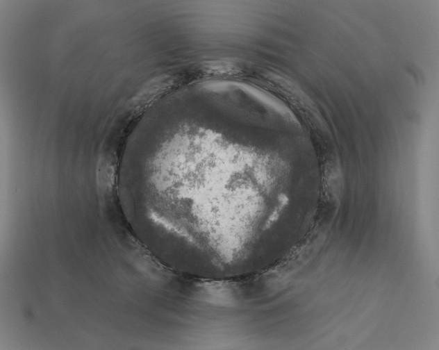 X0000112420417200909111014