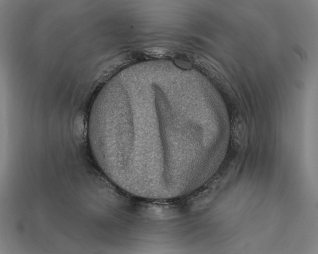 X0000112420420200909111014