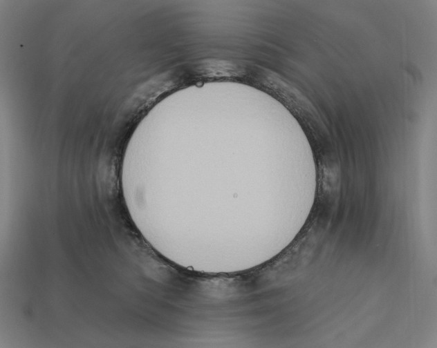 X0000112420422200909111014