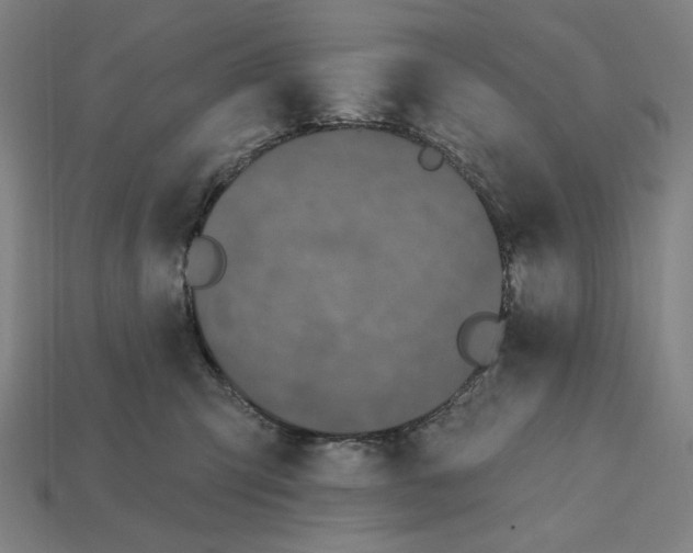 X0000112420423200909111014