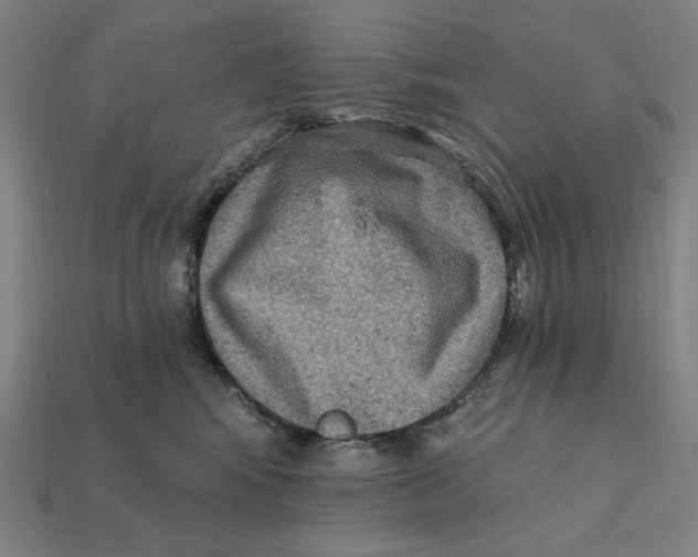 X0000112420424200909111014