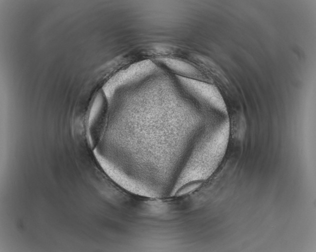 X0000112420425200909111014