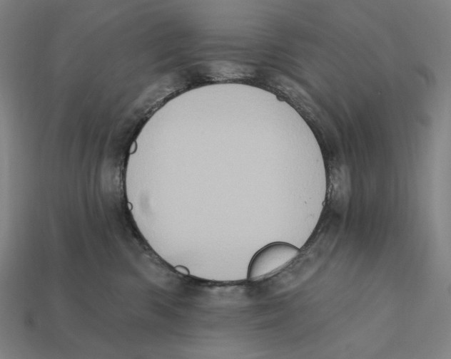 X0000112420426200909111014