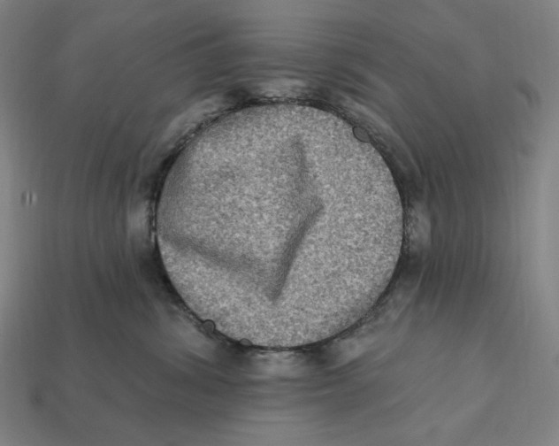 X0000112420428200909111014