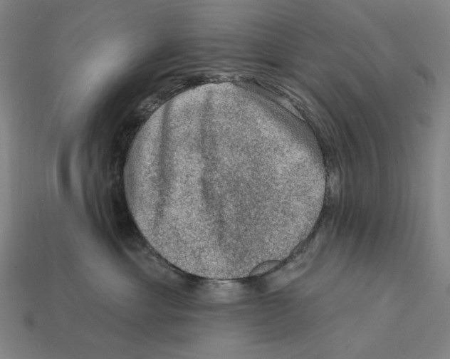 X0000112420429200909111014