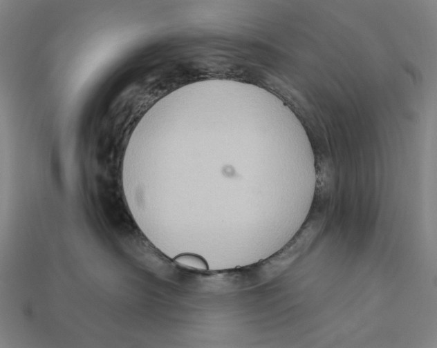 X0000112420430200909111014