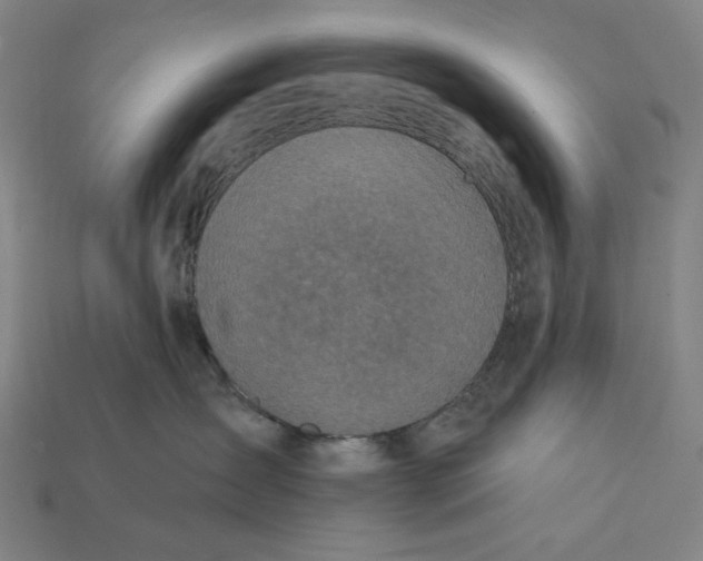 X0000112420431200909111014