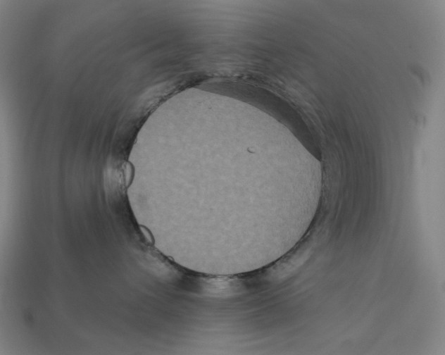 X0000112420432200909111014