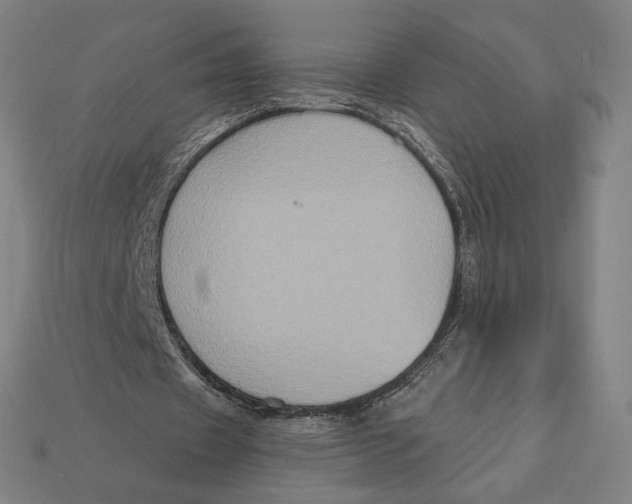 X0000112420433200909111013