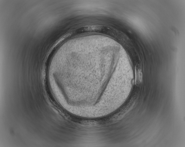 X0000112420435200909111013