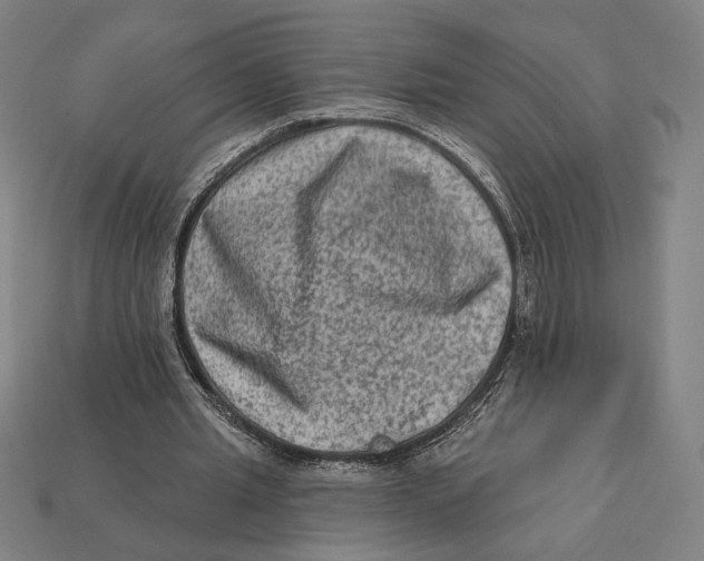 X0000112420437200909111013