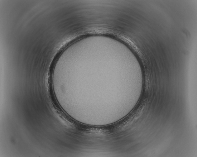 X0000112420439200909111013