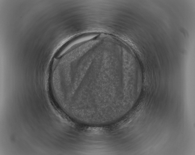 X0000112420440200909111013