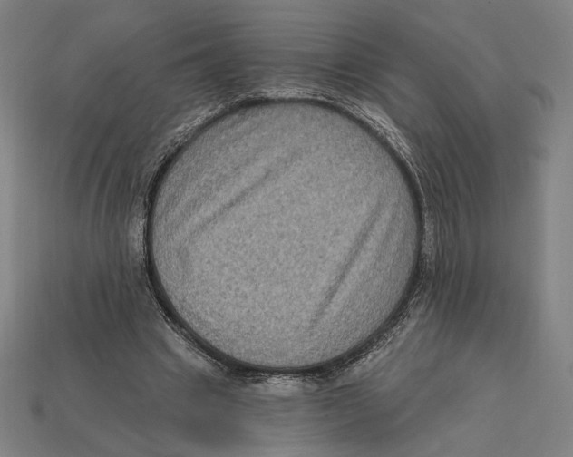 X0000112420441200909111013