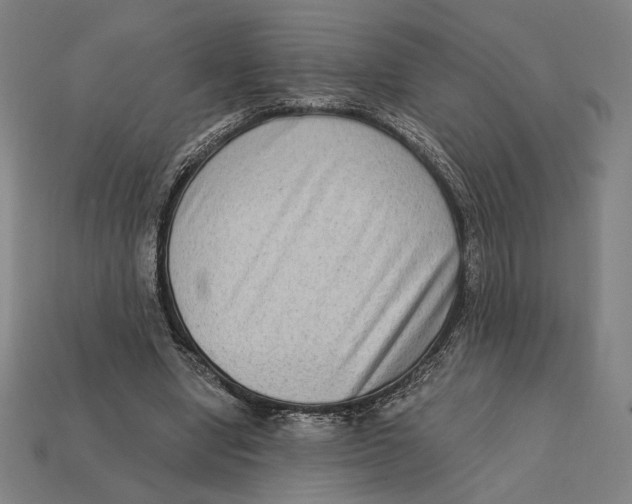 X0000112420442200909111013