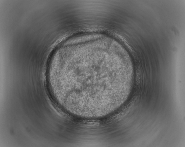 X0000112420443200909111013