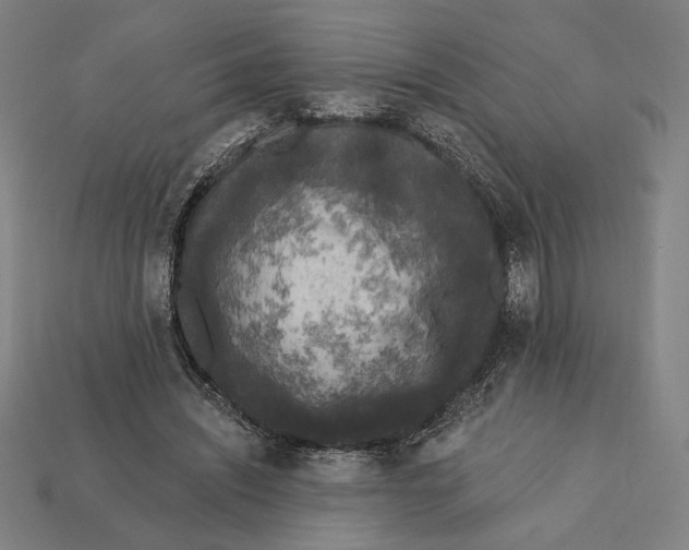 X0000112420444200909111013