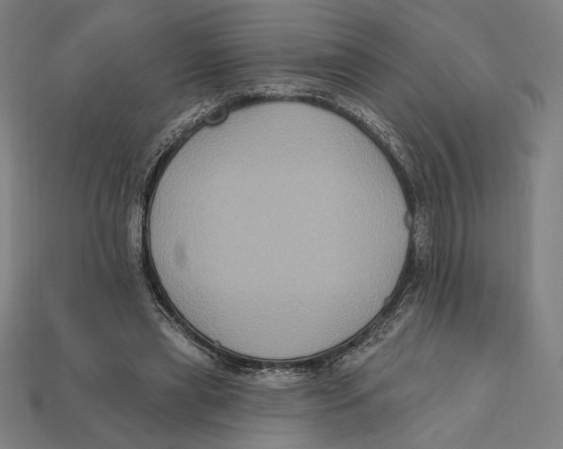 X0000112420445200909111013