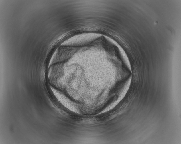 X0000112420446200909111013