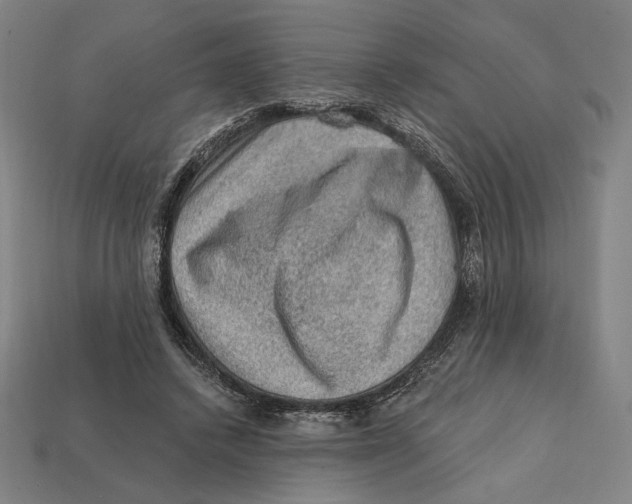 X0000112420448200909111013