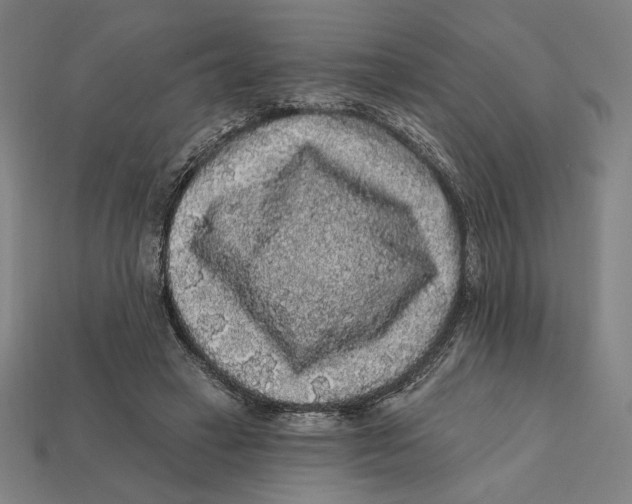 X0000112420449200909111013