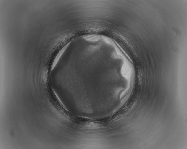 X0000112420451200909111013