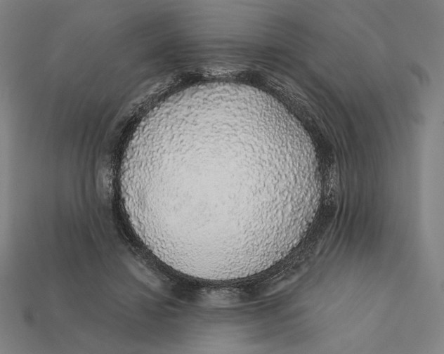 X0000112420452200909111013