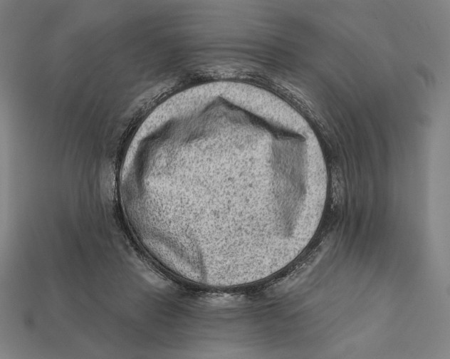 X0000112420453200909111013