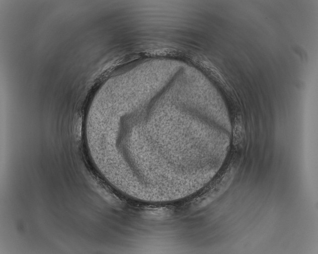 X0000112420454200909111013