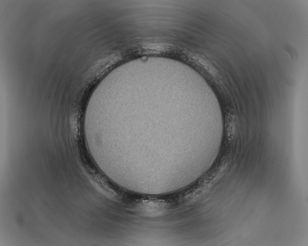 X0000112420455200909111013