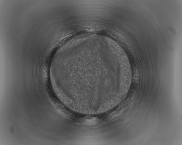 X0000112420456200909111013