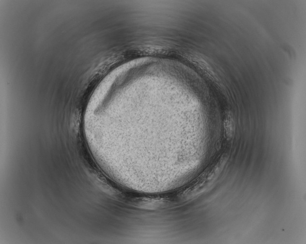 X0000112420458200909111013