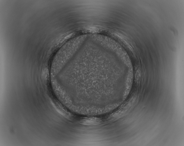 X0000112420459200909111013