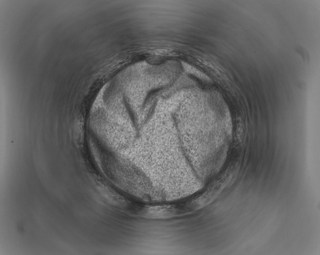 X0000112420461200909111013