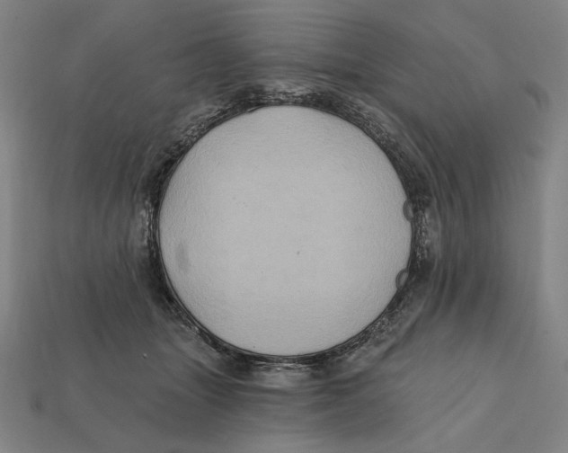 X0000112420463200909111013