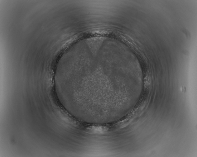 X0000112420464200909111013