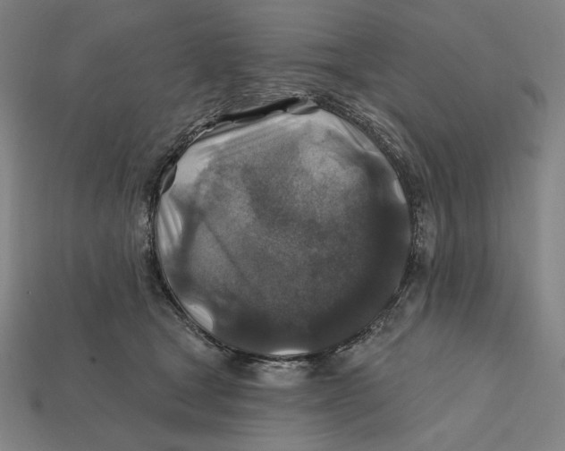 X0000112420465200909111013